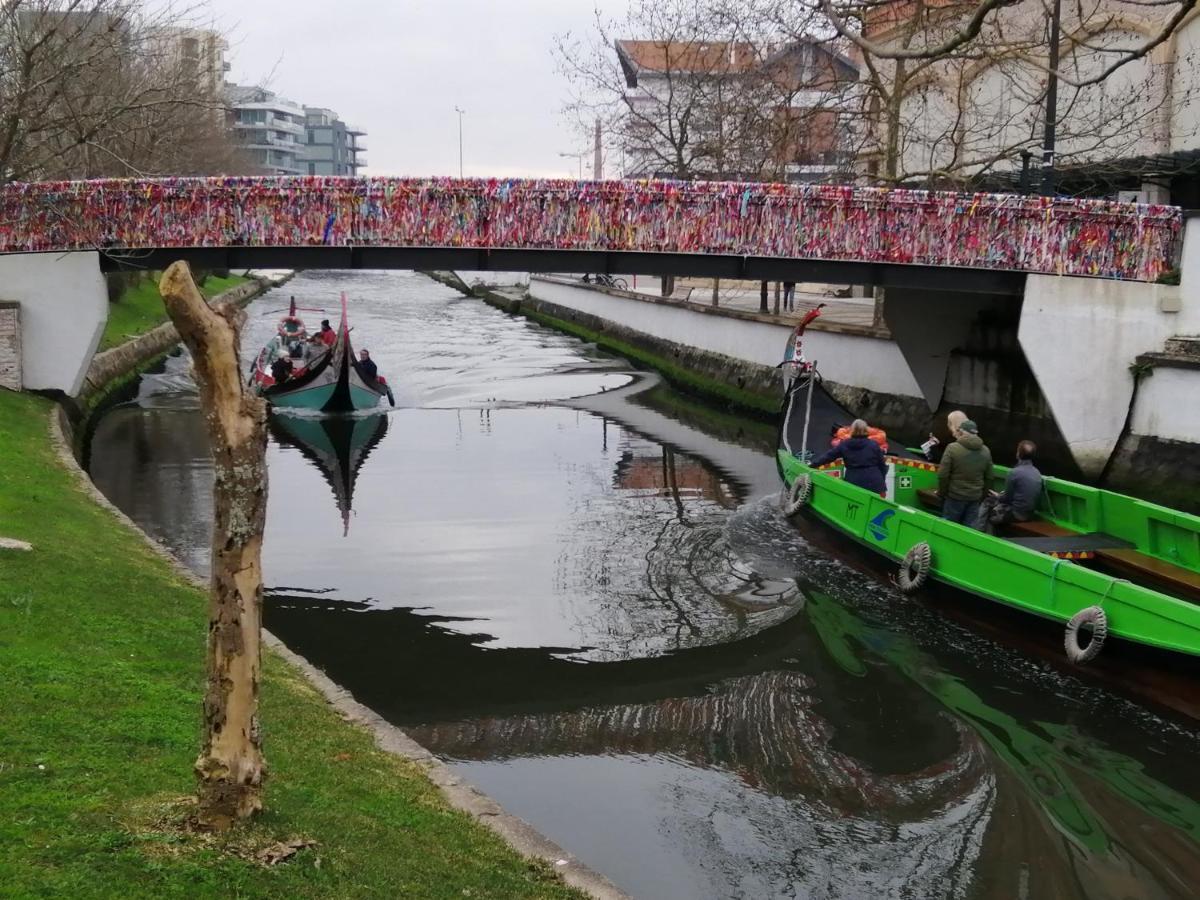 Apartmán Terreno Das Mimosas Aveiro Exteriér fotografie