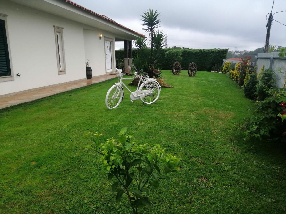 Apartmán Terreno Das Mimosas Aveiro Exteriér fotografie