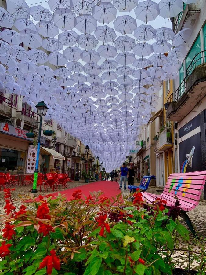 Apartmán Terreno Das Mimosas Aveiro Exteriér fotografie