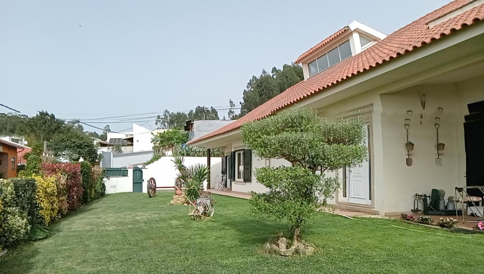 Apartmán Terreno Das Mimosas Aveiro Exteriér fotografie