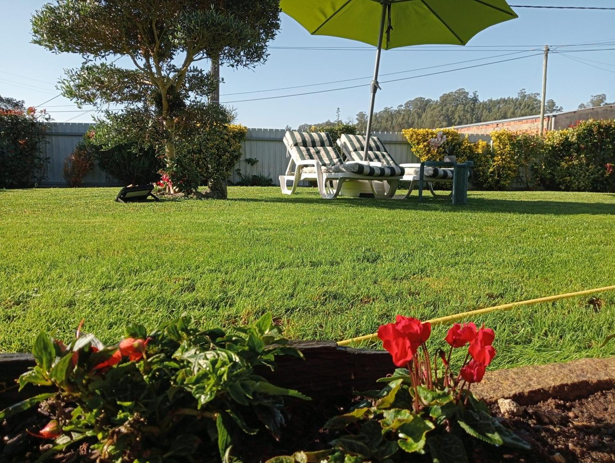 Apartmán Terreno Das Mimosas Aveiro Exteriér fotografie